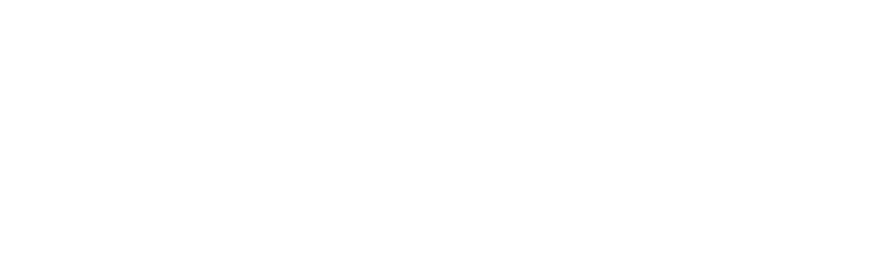 Dilnara Titara — Consultoria de Imagem & Estilo
